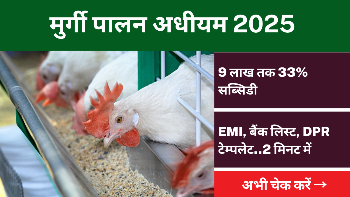 murgi palan scheme