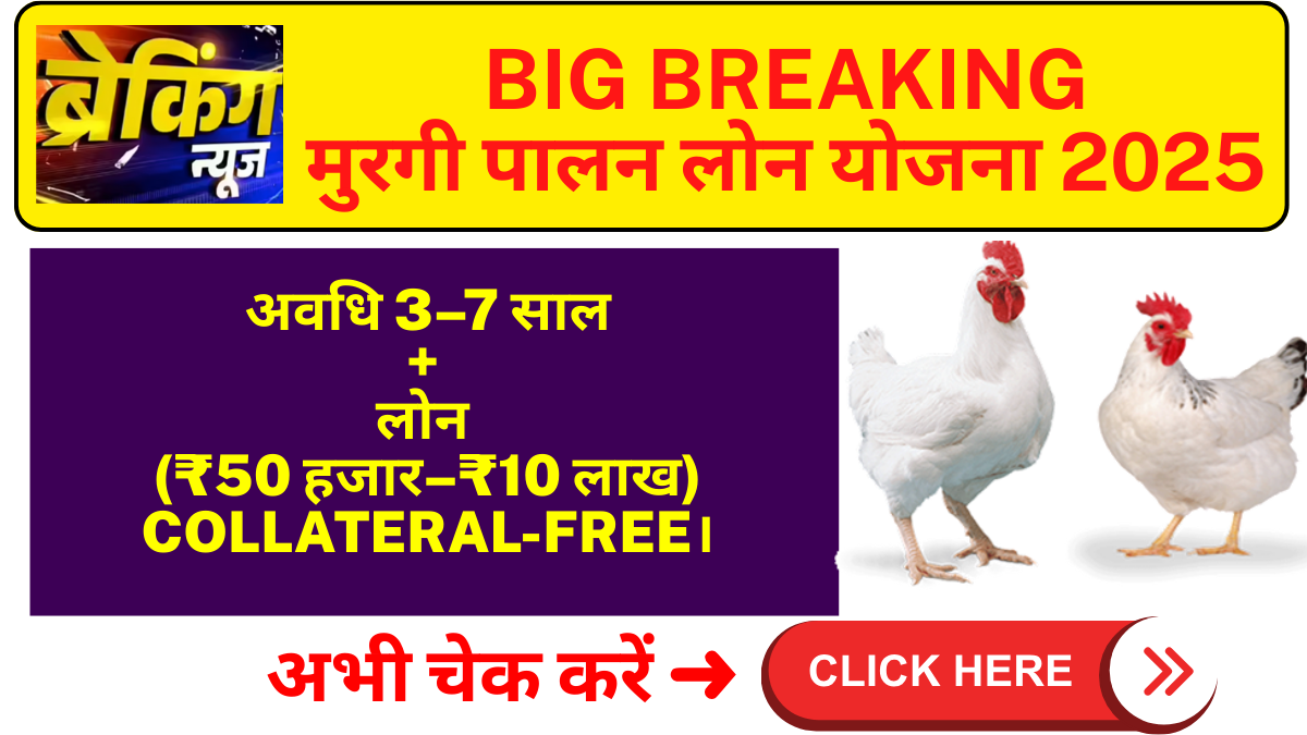 murgi palan yojna