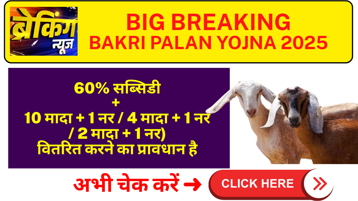 bakri palan yojna
